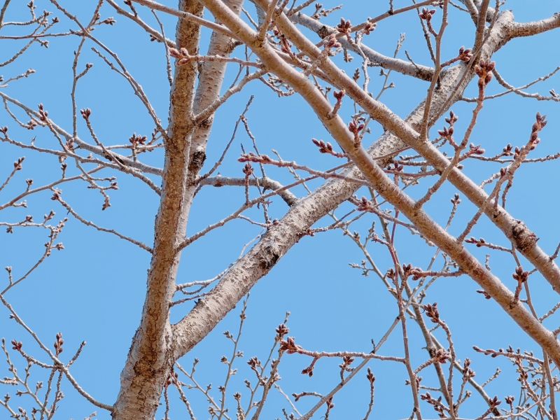 ちょっとそこまで