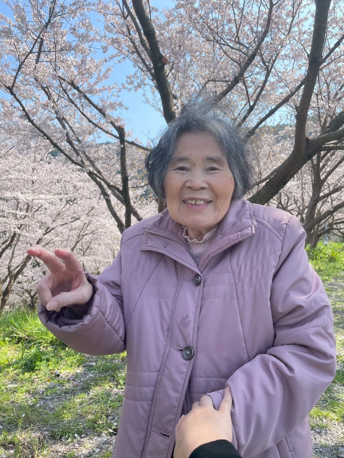 色とりどりのお花見（デイサービス喜楽倶楽部）