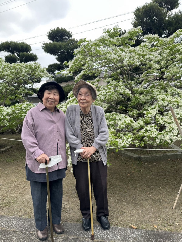 なんじゃもんじゃ