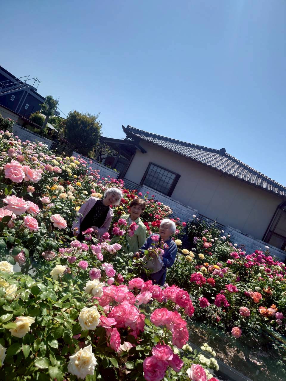 薔薇の甘い香り（デイサービス喜楽倶楽部）